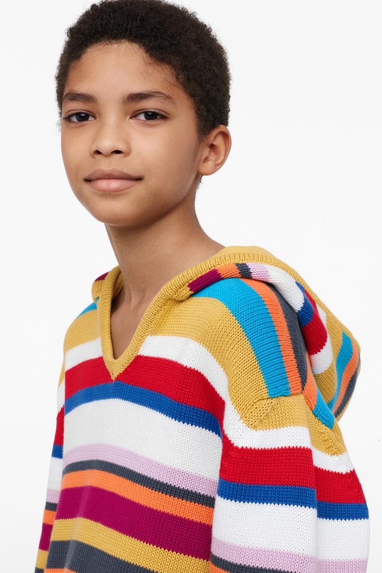 STRIPED HOODED KNIT SWEATER LIMITED EDITION Multicolored ZARA United States